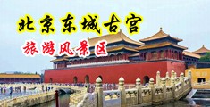 欧美淫屄视频网站中国北京-东城古宫旅游风景区