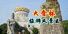 插逼动态图中国浙江-绍兴大香林旅游风景区